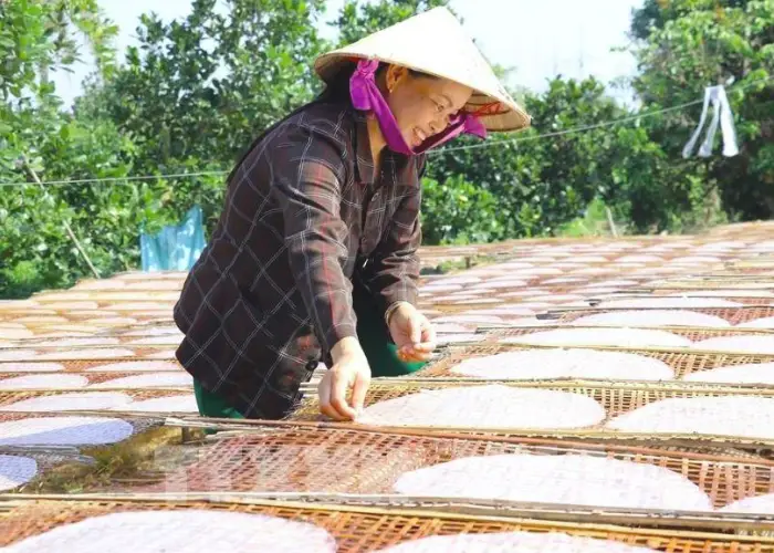 Làng nghề bánh tráng Mỹ Lồng với những giàn phơi bánh trải dài dưới nắng - thể hiện quy mô và nét đặc trưng của làng nghề.