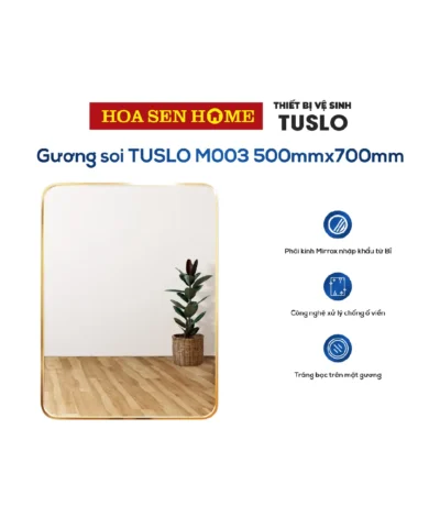 Gương soi TUSLO M003 500mmx700mm